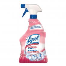 CB813227_Lysol_Disinfectant_Bathroom_Summer_Fresh_9x950mL